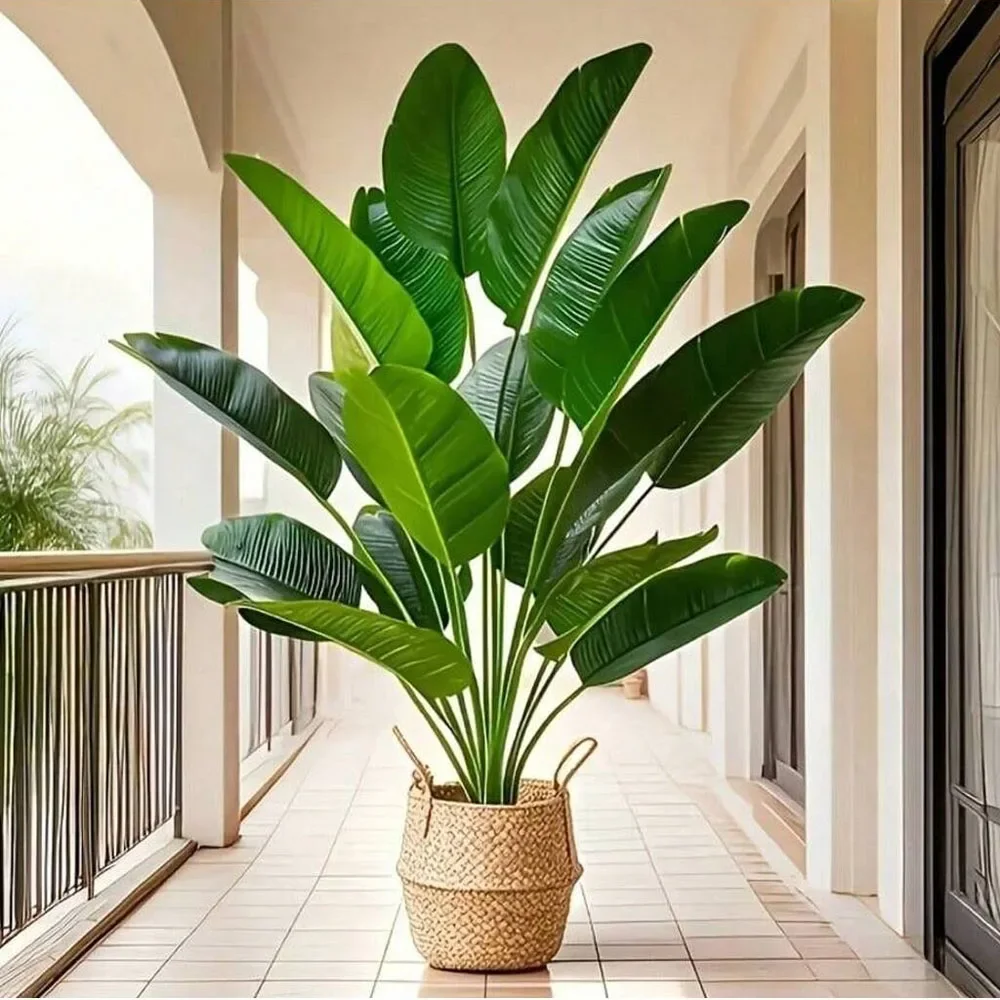 Dracaena Marginata - 1pc 18 Leaves Artificial Plants Large