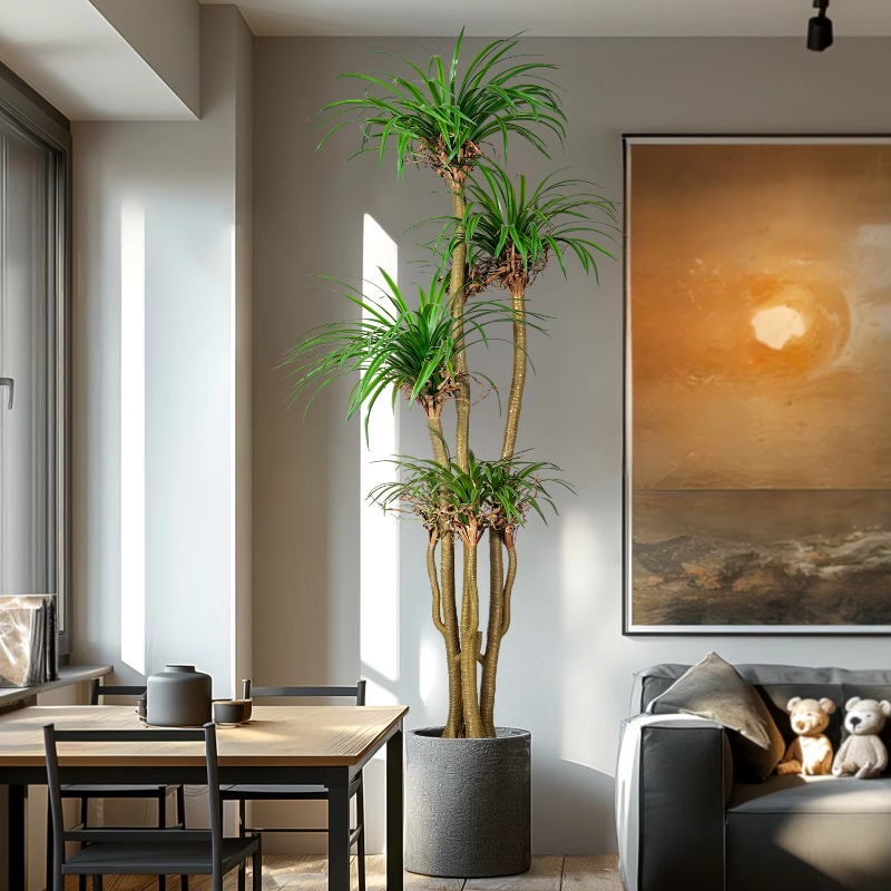 Indoor/Outdoor Home Tree Simul - Dracaena Marginata 评论和价格
