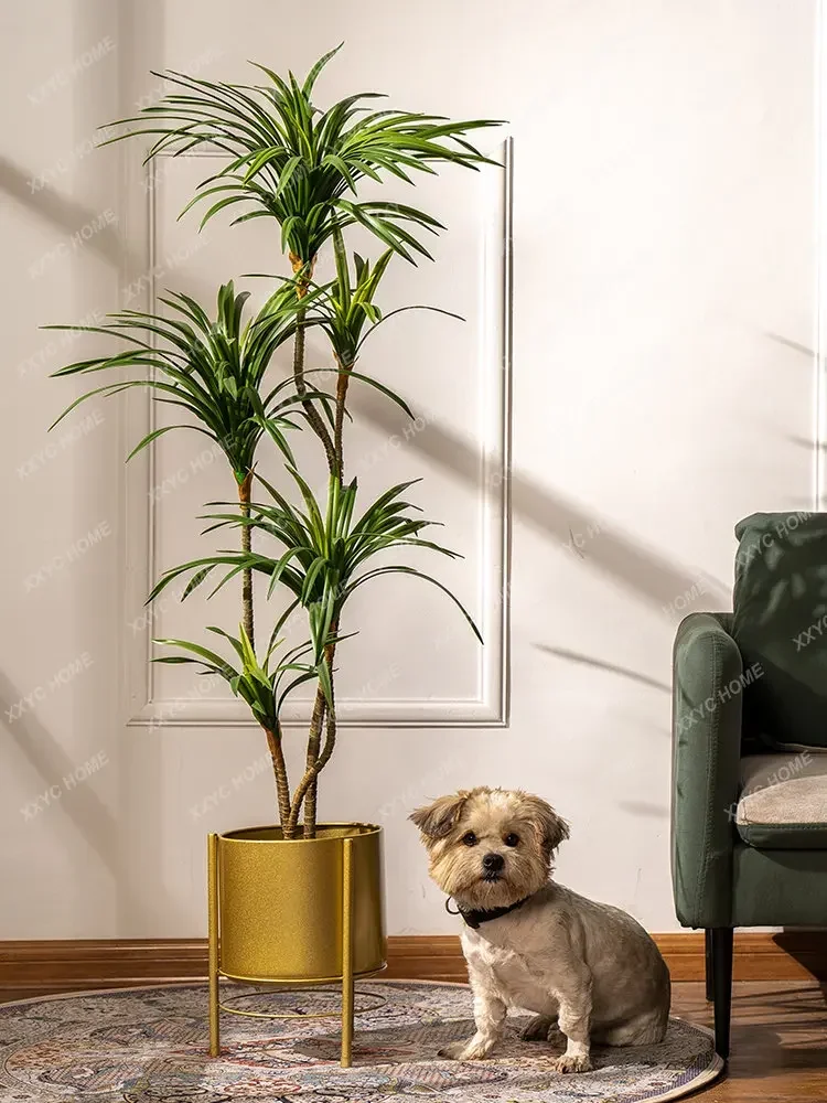 Simulation Colorful Ponytail I - Dracaena Marginata 评论和价格