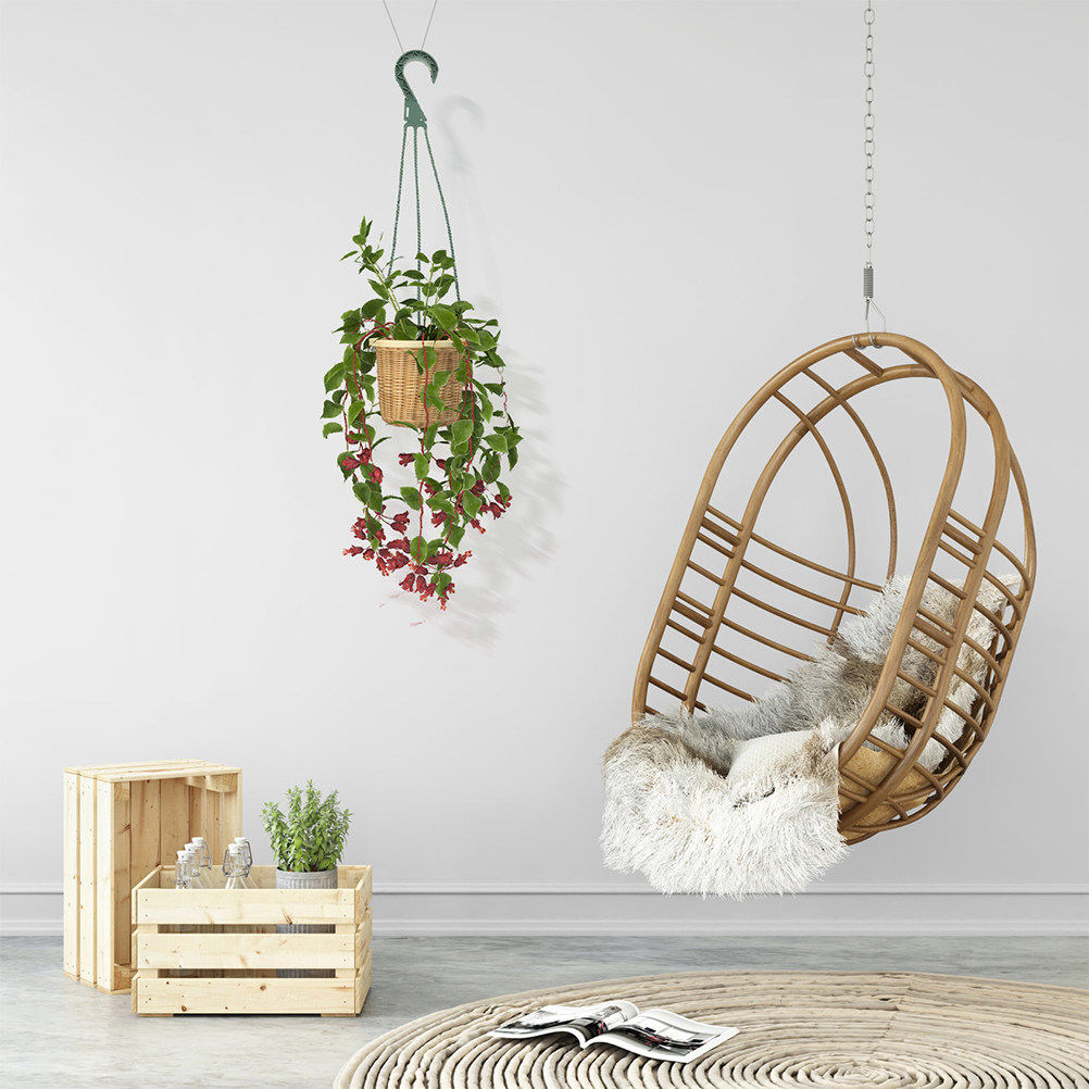 5Pcs Modern Minimalist Hanging - Spider Plant Hanging 评论和价格