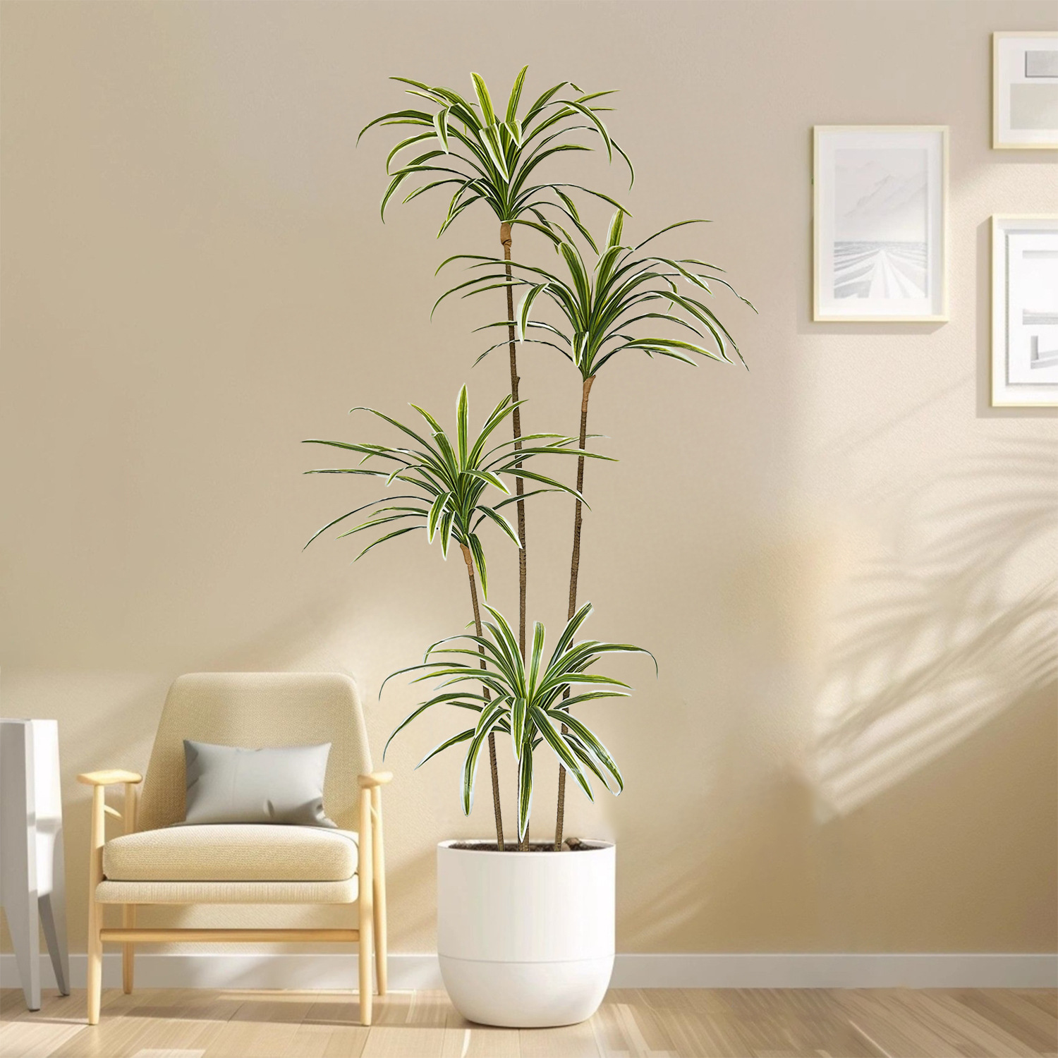 230cm Artificial Dracaena Marg - Dracaena Marginata 评论和价格