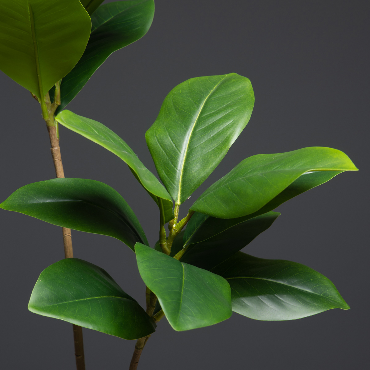 105cm 2 Forks Large Artificial - Dracaena Marginata 评论和价格