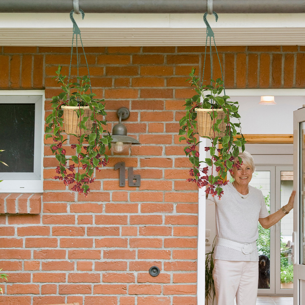 5Pcs Hanging Planter Hooks Ver - Spider Plant Hanging 评论和价格