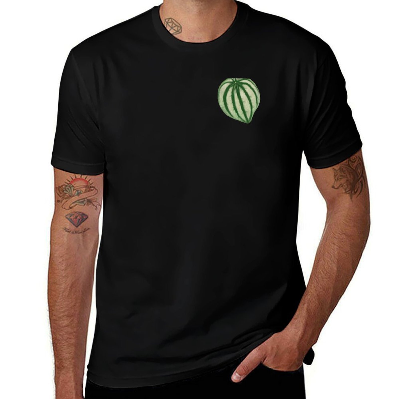 Watermelon Peperomia T-Shirt C - Peperomia Watermelon 评论和价格