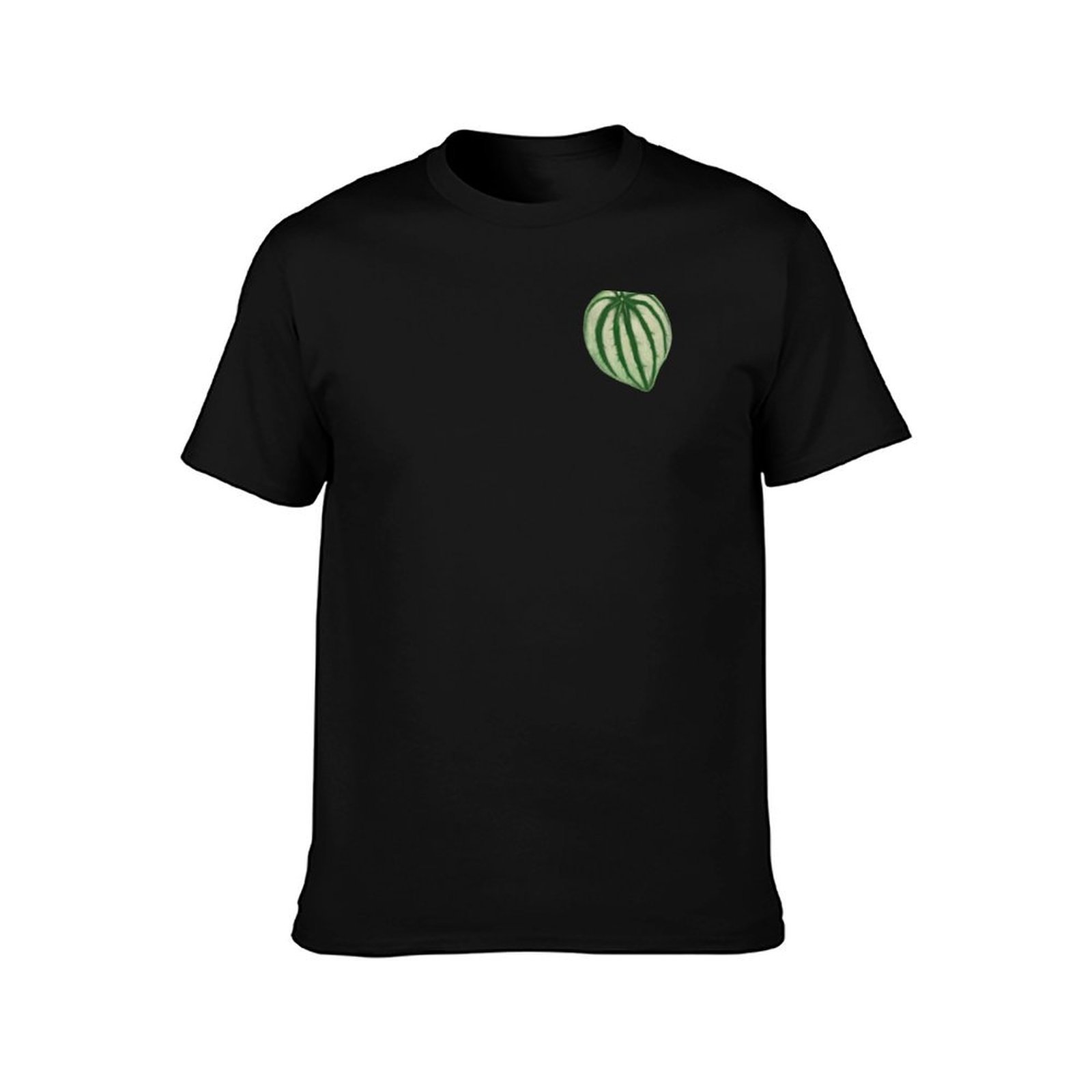 Watermelon Peperomia T-Shirt C - Peperomia Watermelon 评论和价格
